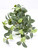 11" Long LARGE Dark Green Fittonia NERVE Silk Bush Aquarium plant, STONE base, Goldfish & Betta-safe plant, Lower Forty Farm artificial aquarium plant