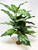 20" XXL 3-stem Silk Spotted DIEFFENBACHIA BUSH Variegated Shade Goldfish & Betta-safe, stone base, Lower Forty Farm artificial aquarium plant