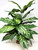 20" XXL 3-stem Silk Spotted DIEFFENBACHIA BUSH Variegated Shade Goldfish & Betta-safe, stone base, Lower Forty Farm artificial aquarium plant