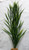 24" Large WILD GRASS 3-stem Soft Plastic Plant, Stone Base, Lower Forty Farm, unique handmade realistic natural-looking artificial aquarium plant 24" Large WILD GRASS 3-stem Soft Plastic Plant, Stone Base, Lower Forty Farm, unique handmade realistic natural-looking artificial aquarium plant
