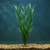 24 Large WILD GRASS 3-stem Soft Plastic Plant, Stone Base, Lower Forty Farm, unique handmade realistic natural-looking a