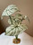 14"H  4-Leaves WHITE CALADIUM Silk Broad Leaf aquarium plant, stone base, hand-made by Lower Forty Farm