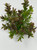 6" Lg BUSH 4-stem BROWN-Green BOXWOOD Plastic Plant, Stone Base, Lower Forty Farm, unique handmade realistic natural-looking artificial aquarium plant 6" Lg BUSH 4-stem BROWN-Green BOXWOOD Plastic Plant, Stone Base, Lower Forty Farm, unique handmade realistic natural-looking artificial aquarium plant