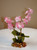5.5" Small Two-tone PINK Soft Silk Baby's Breath FLOWER Betta-safe plant, stone base, Lower Forty Farm artificial aquarium plant 5.5" Small Two-tone PINK Soft Silk Baby's Breath FLOWER Betta-safe plant, stone base, Lower Forty Farm artificial aquarium plant