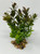 6" Small 2-stem BROWN-Green BOXWOOD Plastic Plant, Stone Base, Lower Forty Farm, unique handmade realistic natural-looking artificial aquarium plant