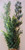 27" XL MIXED Pea Leaf, Bamboo, & Sea Spray Plastic Plant 812, stone base, Realistic Artificial Aquarium plastic plant, Lower Forty Farm unique combination artificial aquarium plant arrangement 27" XL MIXED Pea Leaf, Bamboo, & Sea Spray Plastic Plant 812, stone base, Realistic Artificial Aquarium plastic plant, Lower Forty Farm unique combination artificial aquarium plant arrangement
