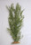 21 in. Med THICK cover 3-stem OLIVE Green SPRENGERI Soft Plastic Wireless Plant, Stone Base, Lower Forty Farm, unique handmade realistic natural-looking artificial aquarium plant 21 in. Med THICK cover 3-stem OLIVE Green SPRENGERI Soft Plastic Wireless Plant, Stone Base, Lower Forty Farm, unique handmade realistic natural-looking artificial aquarium plant