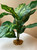 14" Large 10-LEAF Spotted DIEFFENBACHIA Silk Variegated Shade Goldfish & Betta-safe plant, stone base, Lower Forty Farm artificial aquarium plant