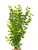 12" SMALL PEA LEAF 3-stem Soft Plastic Plant, Stone Base, Lower Forty Farm, unique handmade realistic natural-looking artificial aquarium plant