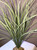 17 in. XL OLIVE Green SPIKE Weed Grass Thick Realistic Artificial Aquarium plastic plant, stone base, Lower Forty Farm stiff standing non-wired artificial aquarium plant 17 in. XL OLIVE Green SPIKE Weed Grass Thick Realistic Artificial Aquarium plastic plant, stone base, Lower Forty Farm stiff standing non-wired artificial aquarium plant