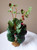 12" Md CREEPING CHARLIE Bush Green & Burgundy silk leaves, Goldfish & Betta-safe plant, stone base, Lower Forty Farm artificial aquarium plant