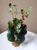 12" Md CREEPING CHARLIE Bush Green & Burgundy silk leaves, Goldfish & Betta-safe plant, stone base, Lower Forty Farm artificial aquarium plant