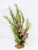 OLIVE SPRENGERI plant with Lavender Flower