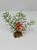 Orange flower & Diti plant