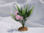 Mini Bamboo plant with Pink flower