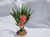 Mini Bamboo plant with Orange flower