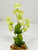 Small Cream-Green Flower