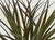 10-11" Thick LG BROWN-Green Autumn Vanilla SWORD Grass Realistic Artificial Aquarium soft plastic plant, stone base, Lower Forty Farm unique non-wired artificial aquarium plant, Betta safe