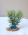 6" Diti Sprengeri plastic plant & BLUE AGATE Geode Slice 826TQ, Stone base, Realistic Artificial Aquarium Plastic plant, Lower Forty Farm unique combination artificial aquarium plant arrangement