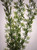 27" Large  LITTLE-LEAF Light Green BAMBOO 3-stem Soft Flowing Plastic Plant, Stone Base, Lower Forty Farm, unique handmade realistic natural-looking artificial aquarium plant