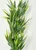 12" Small REGULAR-LEAF Dark Green BAMBOO 3-stem Soft Flowing Plastic Plant, Stone Base, Lower Forty Farm, unique handmade realistic natural-looking artificial aquarium plant