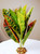 10" Medium CROTON PLANT  Plastic-coated silk Plant, Stone Base, Goldfish & Betta-safe plant, Lower Forty Farm artificial aquarium plant 10" Medium CROTON PLANT  Plastic-coated silk Plant, Stone Base, Goldfish & Betta-safe plant, Lower Forty Farm artificial aquarium plant