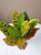 10" Medium CROTON PLANT  Plastic-coated silk Plant, Stone Base, Goldfish & Betta-safe plant, Lower Forty Farm artificial aquarium plant 10" Medium CROTON PLANT  Plastic-coated silk Plant, Stone Base, Goldfish & Betta-safe plant, Lower Forty Farm artificial aquarium plant