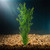 27" Large PEA LEAF 3-stem Soft Flowing Plastic Plant, Stone Base, Lower Forty Farm, unique handmade realistic natural-lo