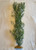 26 in. XL THICK Cover DITI-SPRENGERI Flowered Soft Plastic Wireless Plant, Stone Base, Lower Forty Farm, unique handmade realistic natural-looking artificial aquarium plant 26 in. XL THICK Cover DITI-SPRENGERI Flowered Soft Plastic Wireless Plant, Stone Base, Lower Forty Farm, unique handmade realistic natural-looking artificial aquarium plant