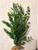 12" MIXED  Pea Leaf, Bamboo, & Sea Spray Plastic Plant #829, Stone base, Realistic Artificial Aquarium plastic plant, Lower Forty Farm unique combination artificial aquarium plant arrangement 12" MIXED  Pea Leaf, Bamboo, & Sea Spray Plastic Plant #829, Stone base, Realistic Artificial Aquarium plastic plant, Lower Forty Farm unique combination artificial aquarium plant arrangement