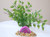 6" Pea Leaf  plant & PINK AGATE Geode Slice 827PK, Stone base, Realistic Artificial Aquarium Plastic plant, Lower Forty Farm unique combination artificial aquarium plant arrangement 6" Pea Leaf  plant & PINK AGATE Geode Slice 827PK, Stone base, Realistic Artificial Aquarium Plastic plant, Lower Forty Farm unique combination artificial aquarium plant arrangement