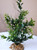 8" MEDIUM Dark Green BOXWOOD Plastic Plant, Stone Base, Lower Forty Farm, unique handmade realistic natural-looking artificial aquarium plant 8" MEDIUM Dark Green BOXWOOD Plastic Plant, Stone Base, Lower Forty Farm, unique handmade realistic natural-looking artificial aquarium plant