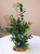 8" MEDIUM Dark Green BOXWOOD Plastic Plant, Stone Base, Lower Forty Farm, unique handmade realistic natural-looking artificial aquarium plant 8" MEDIUM Dark Green BOXWOOD Plastic Plant, Stone Base, Lower Forty Farm, unique handmade realistic natural-looking artificial aquarium plant