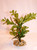 5.5" Small LIGHT GREEN BOXWOOD Plastic Plant, Stone Base, Lower Forty Farm, unique handmade realistic natural-looking artificial aquarium plant