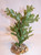 5.5" Small LIGHT GREEN BOXWOOD Plastic Plant, Stone Base, Lower Forty Farm, unique handmade realistic natural-looking artificial aquarium plant