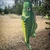 48" Green BASS fish windsock garden décor, In the Breeze ITB-5115