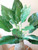 (1) 24 inch Artificial Silk Peace Lily EMERALD QUEEN Philodendron - for HOME DECOR ONLY