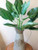 (1) 24 inch Artificial Silk Peace Lily EMERALD QUEEN Philodendron - for HOME DECOR ONLY