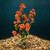 11 in.  Coral Lt. ORANGE soft silk FLOWER plant with stone base, Goldfish & Betta-safe plant, Lower Forty Farm artificia