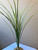 15 in. All GREEN SPIKE WEED Grass Thin Realistic Artificial Aquarium plastic plant, stone base, Lower Forty Farm standing wireless artificial aquarium plant