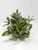 7" MD (5-stem) Green/Cream/Pink JEW INCH Bush, very soft silk plant, stone base, Goldfish & Betta-safe plant, Lower Forty Farm artificial aquarium plant