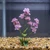 5.5 in. LAVENDER Pale Purple Soft Silk Baby's Breath Small FLOWER plant, Stone base, Goldfish & Betta-safe plant, Lower Forty Farm artificial aquarium plant