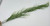 28 in. 1-stem Curly SEA GRASS WILLOW Soft flowing Plastic Wireless Plant, Stone Base, Lower Forty Farm, unique handmade realistic natural-looking artificial aquarium plant 28 in. 1-stem Curly SEA GRASS WILLOW Soft flowing Plastic Wireless Plant, Stone Base, Lower Forty Farm, unique handmade realistic natural-looking artificial aquarium plant
