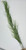 28 in. 1-stem Curly SEA GRASS WILLOW Soft flowing Plastic Wireless Plant, Stone Base, Lower Forty Farm, unique handmade realistic natural-looking artificial aquarium plant 28 in. 1-stem Curly SEA GRASS WILLOW Soft flowing Plastic Wireless Plant, Stone Base, Lower Forty Farm, unique handmade realistic natural-looking artificial aquarium plant