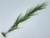 24 in. 1-stem Curly SEA GRASS WILLOW Soft flowing Plastic Wireless Plant, Stone Base, Lower Forty Farm, unique handmade realistic natural-looking artificial aquarium plant