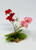 4 in. Pink, White & Red MIX  Soft Silk Baby's Breath Small FLOWER plant Stone base, Goldfish & Betta-safe plant, Lower Forty Farm artificial aquarium plant