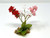 4 in. Pink, White & Red MIX  Soft Silk Baby's Breath Small FLOWER plant Stone base, Goldfish & Betta-safe plant, Lower Forty Farm artificial aquarium plant