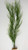 24 in. THICK 2-stem Curly SEA GRASS WILLOW Soft flowing Plastic Wireless Plant, Stone Base, Lower Forty Farm, unique handmade realistic natural-looking artificial aquarium plant 24 in. THICK 2-stem Curly SEA GRASS WILLOW Soft flowing Plastic Wireless Plant, Stone Base, Lower Forty Farm, unique handmade realistic natural-looking artificial aquarium plant