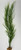 24 in. THICK 2-stem Curly SEA GRASS WILLOW Soft flowing Plastic Wireless Plant, Stone Base, Lower Forty Farm, unique handmade realistic natural-looking artificial aquarium plant 24 in. THICK 2-stem Curly SEA GRASS WILLOW Soft flowing Plastic Wireless Plant, Stone Base, Lower Forty Farm, unique handmade realistic natural-looking artificial aquarium plant