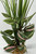 13" Green Spike Weed & Pink Jew Mix Combo 818C, Stone base, Realistic Artificial Aquarium Soft Silk & plastic plant, Lower Forty Farm unique combination artificial aquarium plant arrangement 13" Green Spike Weed & Pink Jew Mix Combo 818C, Stone base, Realistic Artificial Aquarium Soft Silk & plastic plant, Lower Forty Farm unique combination artificial aquarium plant arrangement